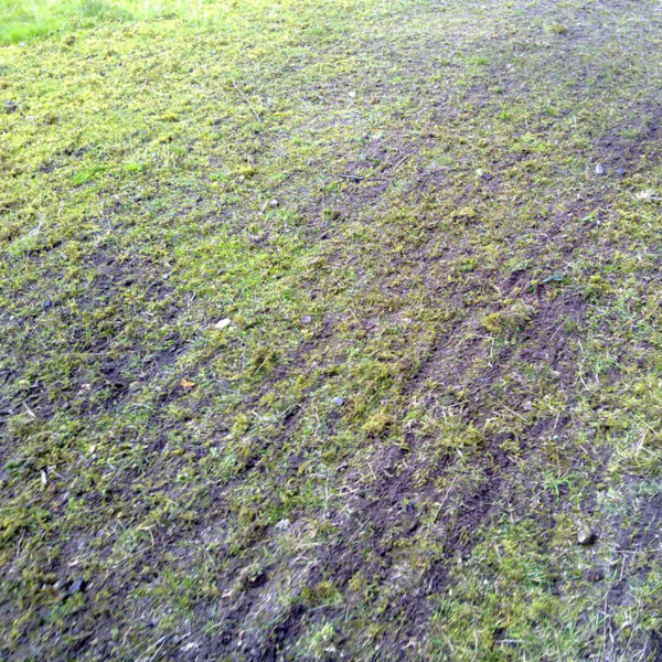 Brána Jansen, šířka 1,4 m - Image 6